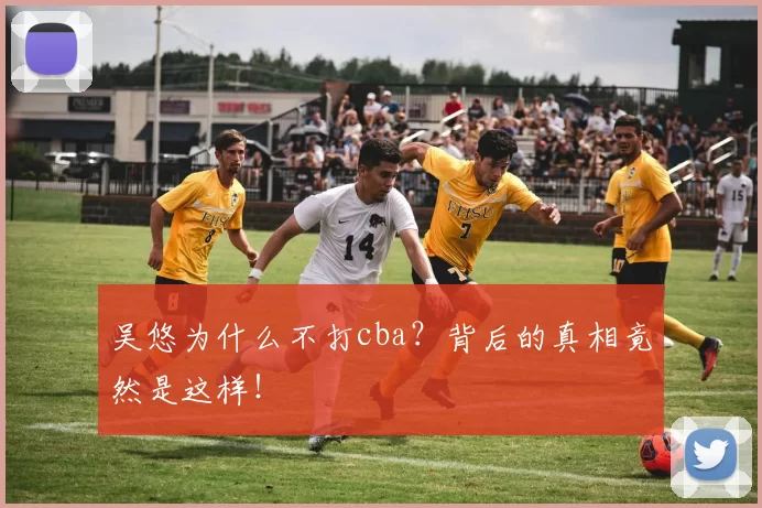 吴悠为什么不打cba？背后的真相竟然是这样！