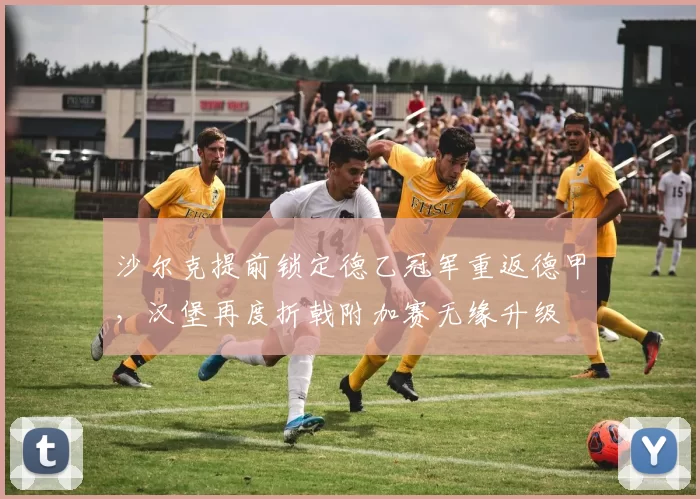 沙尔克提前锁定德乙冠军重返德甲,汉堡再度折戟附加赛无缘升级