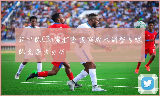 辽宁队CBA赛程密集期战术调整与球队竞争力分析