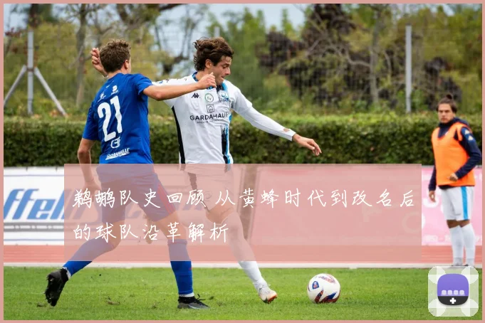 鹈鹕队史回顾 从黄蜂时代到改名后的球队沿革解析