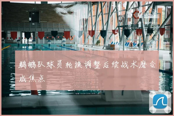 鹈鹕队球员轮换调整后续战术磨合成焦点