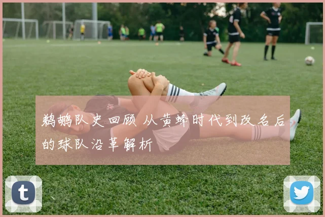 鹈鹕队史回顾 从黄蜂时代到改名后的球队沿革解析