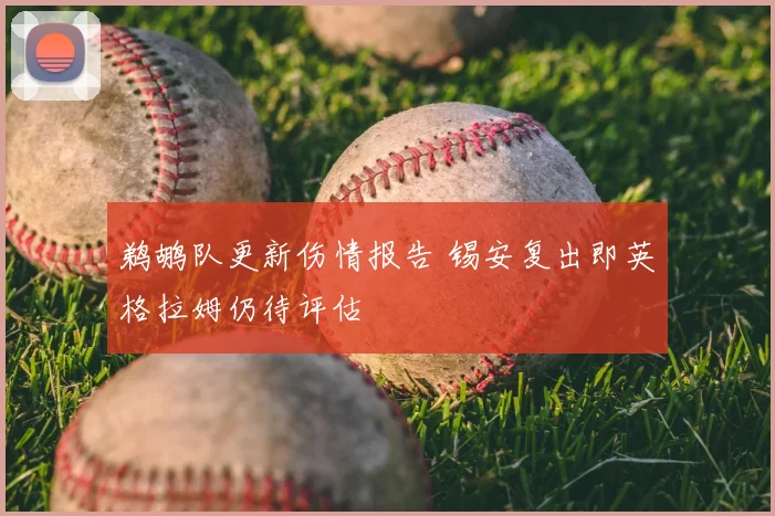 鹈鹕队更新伤情报告 锡安复出即英格拉姆仍待评估