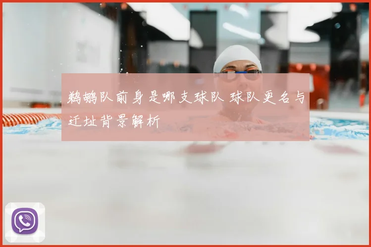 鹈鹕队前身是哪支球队 球队更名与迁址背景解析