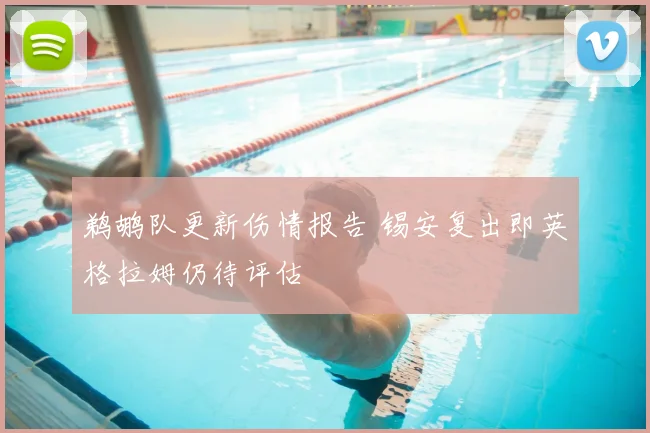 鹈鹕队更新伤情报告 锡安复出即英格拉姆仍待评估