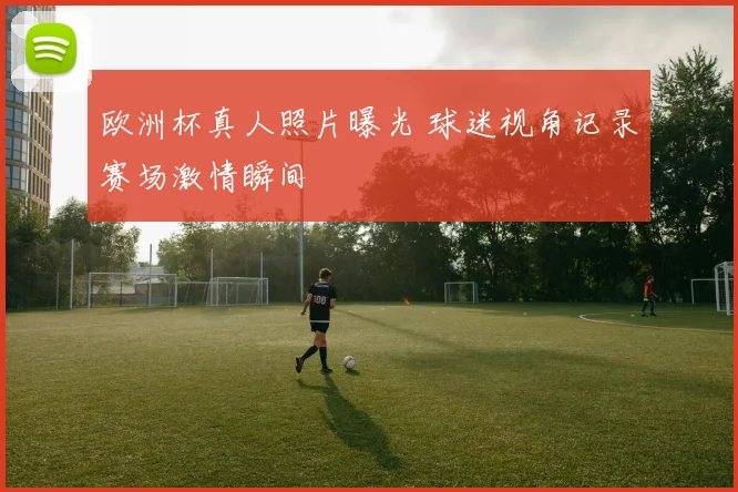 欧洲杯真人照片曝光 球迷视角记录赛场激情瞬间