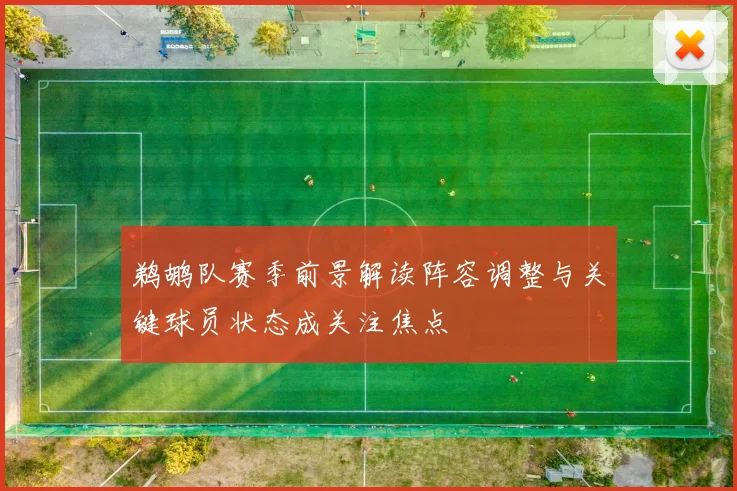 鹈鹕队赛季前景解读阵容调整与关键球员状态成关注焦点