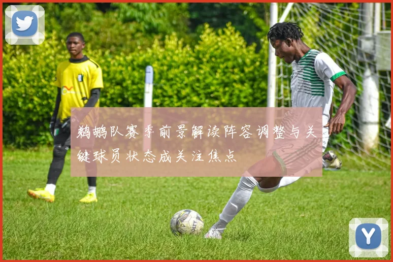 鹈鹕队赛季前景解读阵容调整与关键球员状态成关注焦点