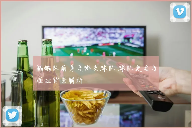 鹈鹕队前身是哪支球队 球队更名与迁址背景解析