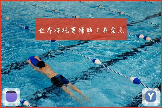 世界杯观赛辅助工具盘点
