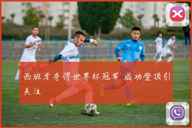 西班牙夺得世界杯冠军 成功登顶引关注