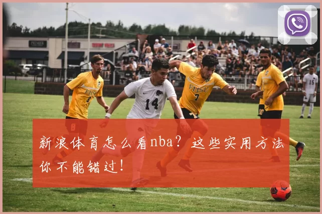 新浪体育怎么看nba?这些实用方法你不能错过!