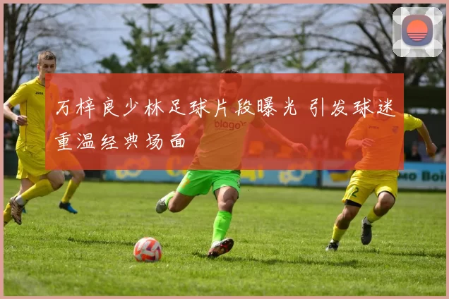 万梓良少林足球片段曝光 引发球迷重温经典场面