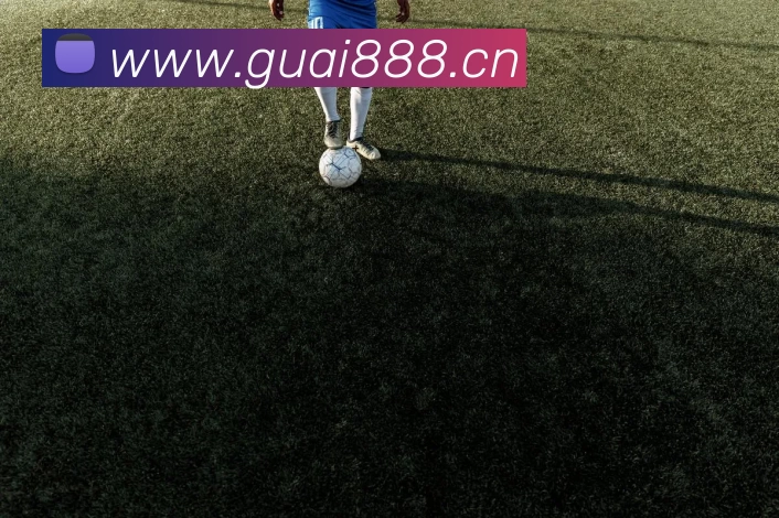 开云网页版·官方版在线登入 - 开云(中国)发展历程